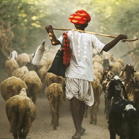 Circuit de 16 jours au Rajasthan