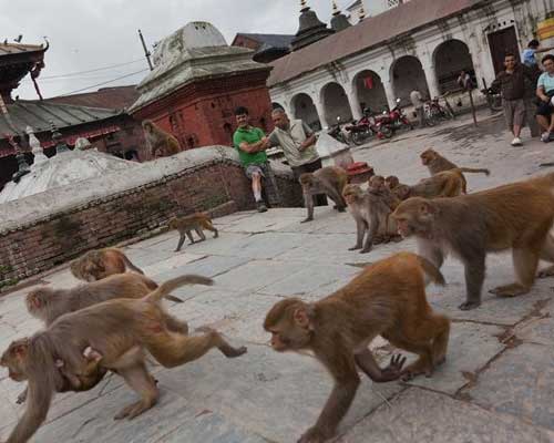 Viaggi India