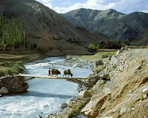 Viaggi India