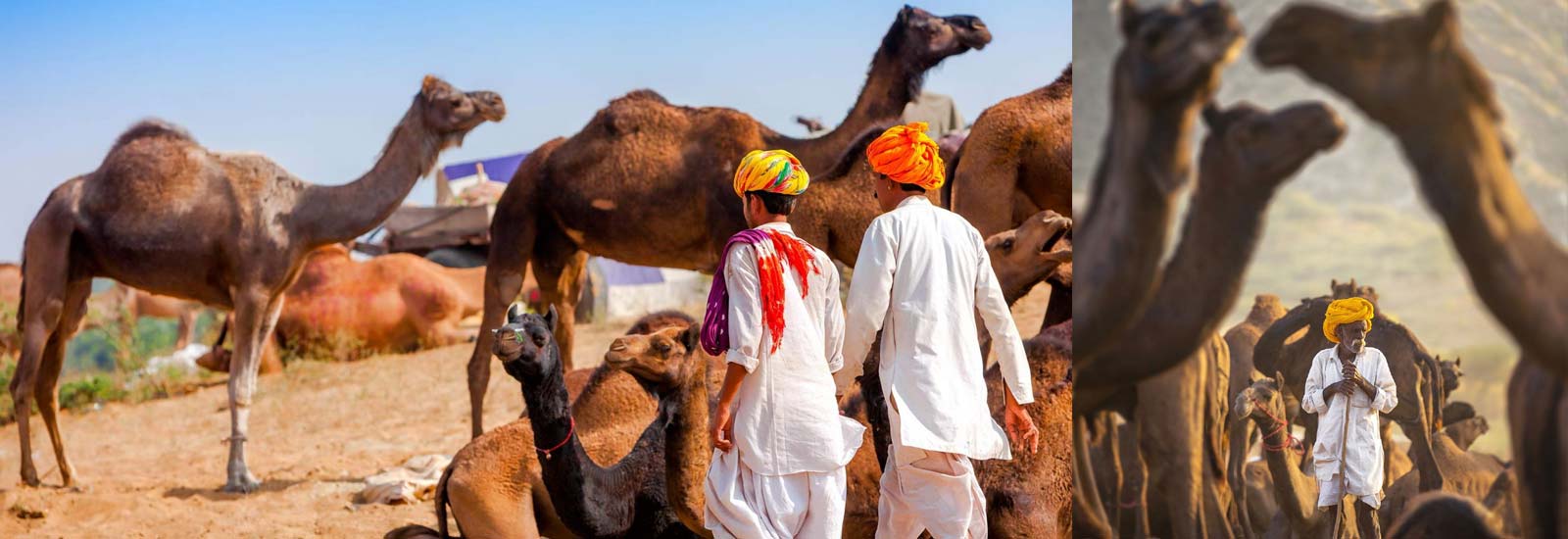 Mahendra viaggi travel