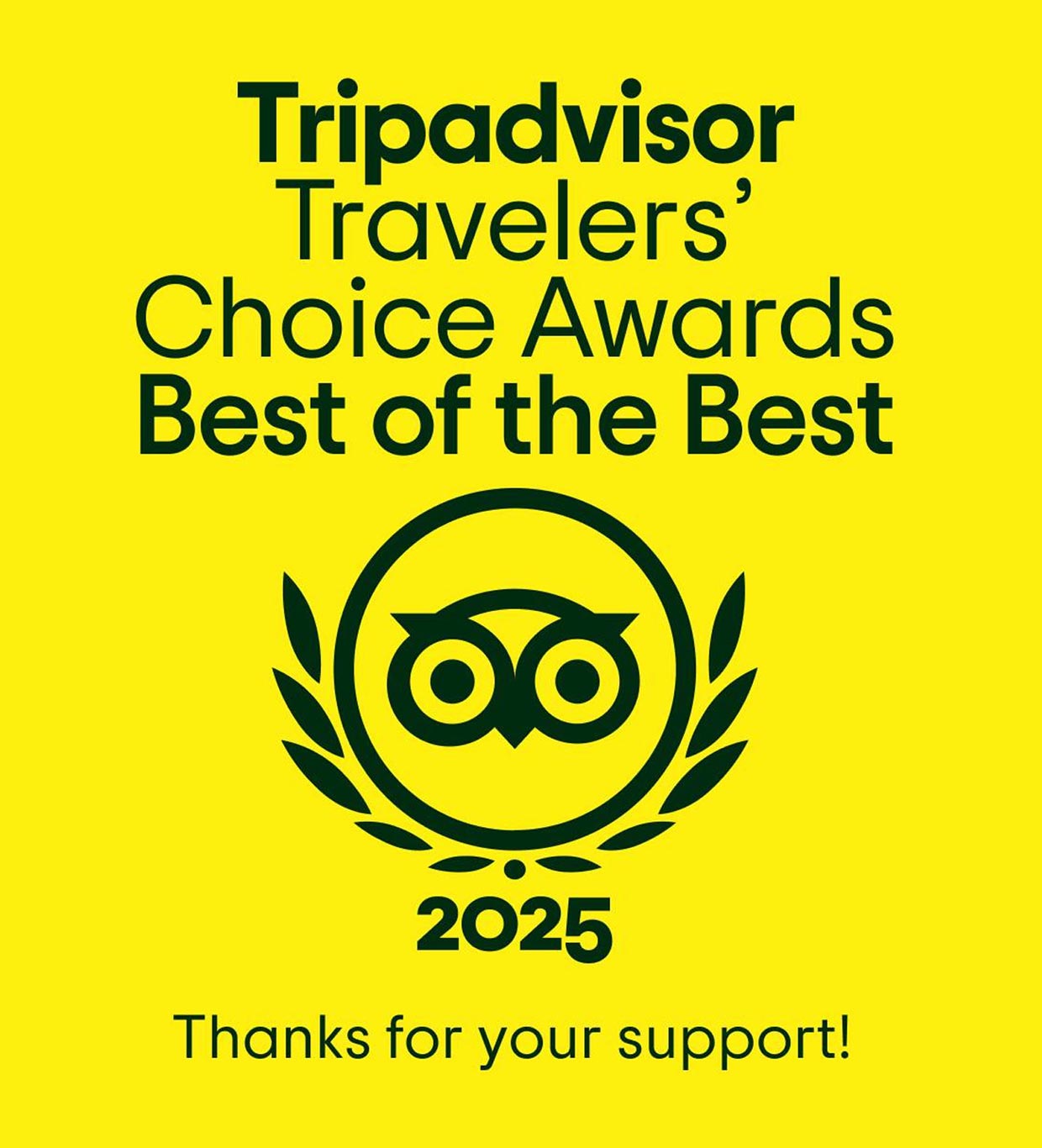 tripadvisor